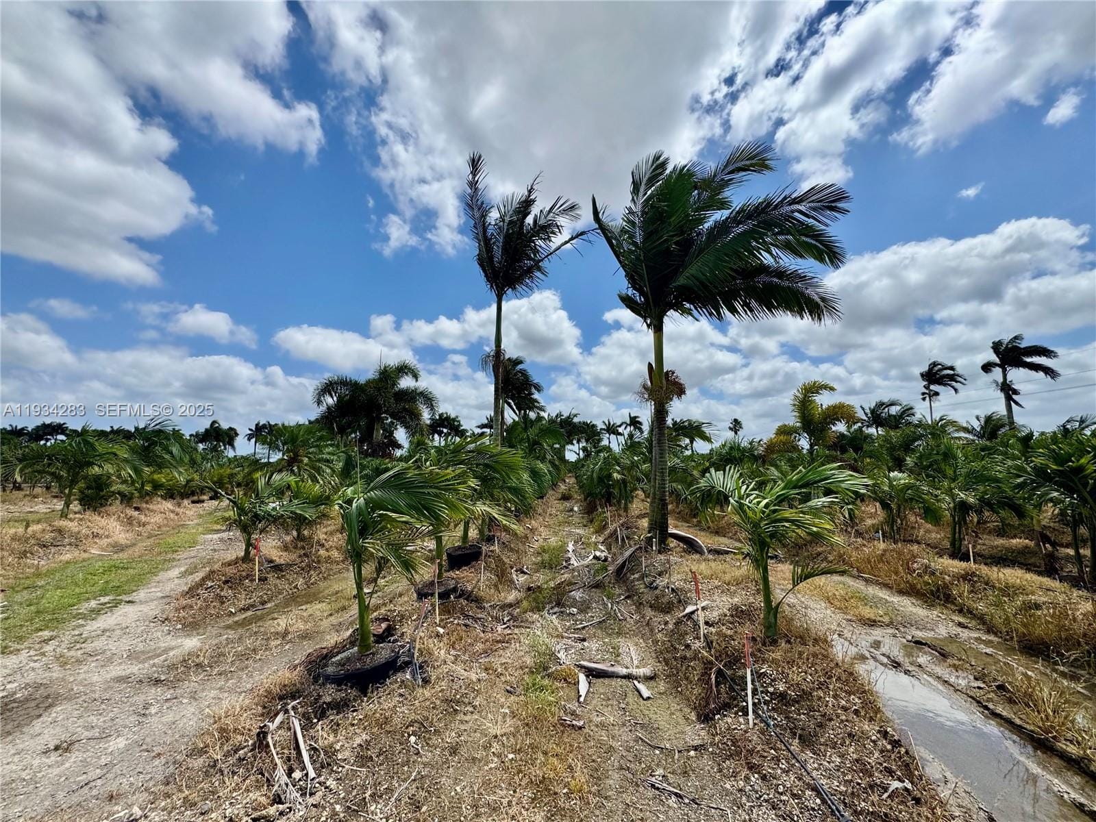 32800 SW 202nd Avenue, Homestead, FL 33034 photo 17