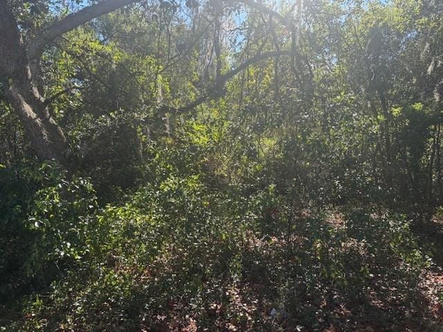 0 SE 157th Street — photo 2