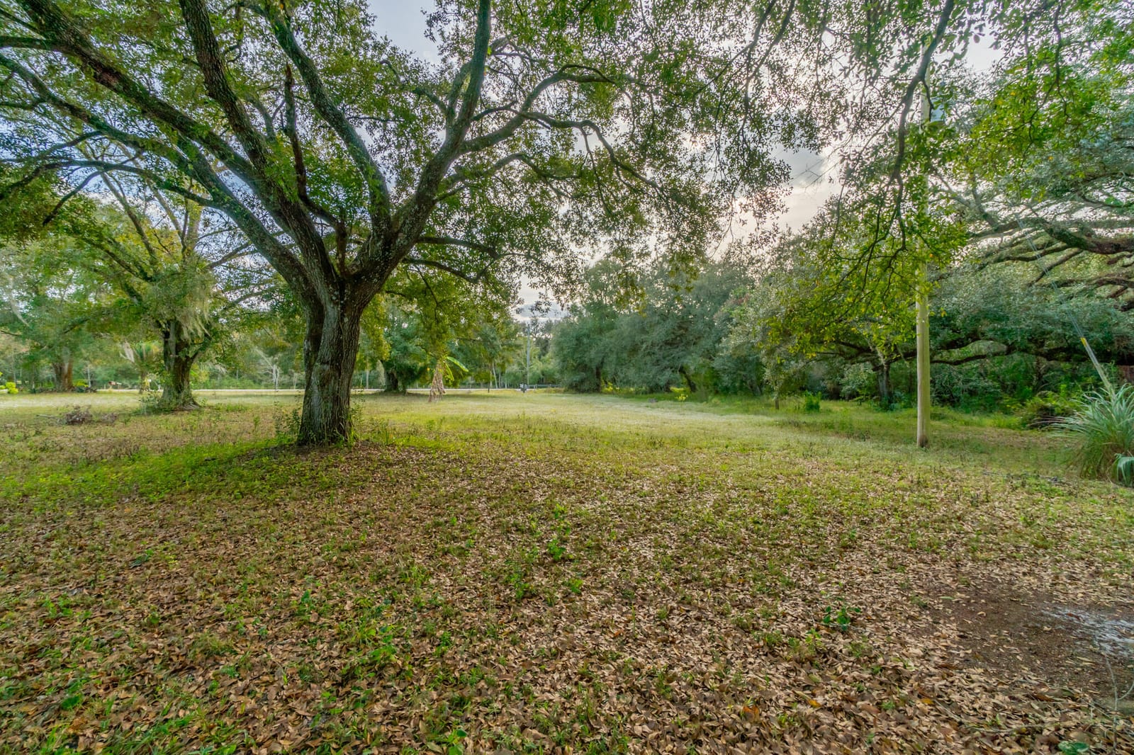 3453 NW 160th Street, Okeechobee, FL 34972 photo 12
