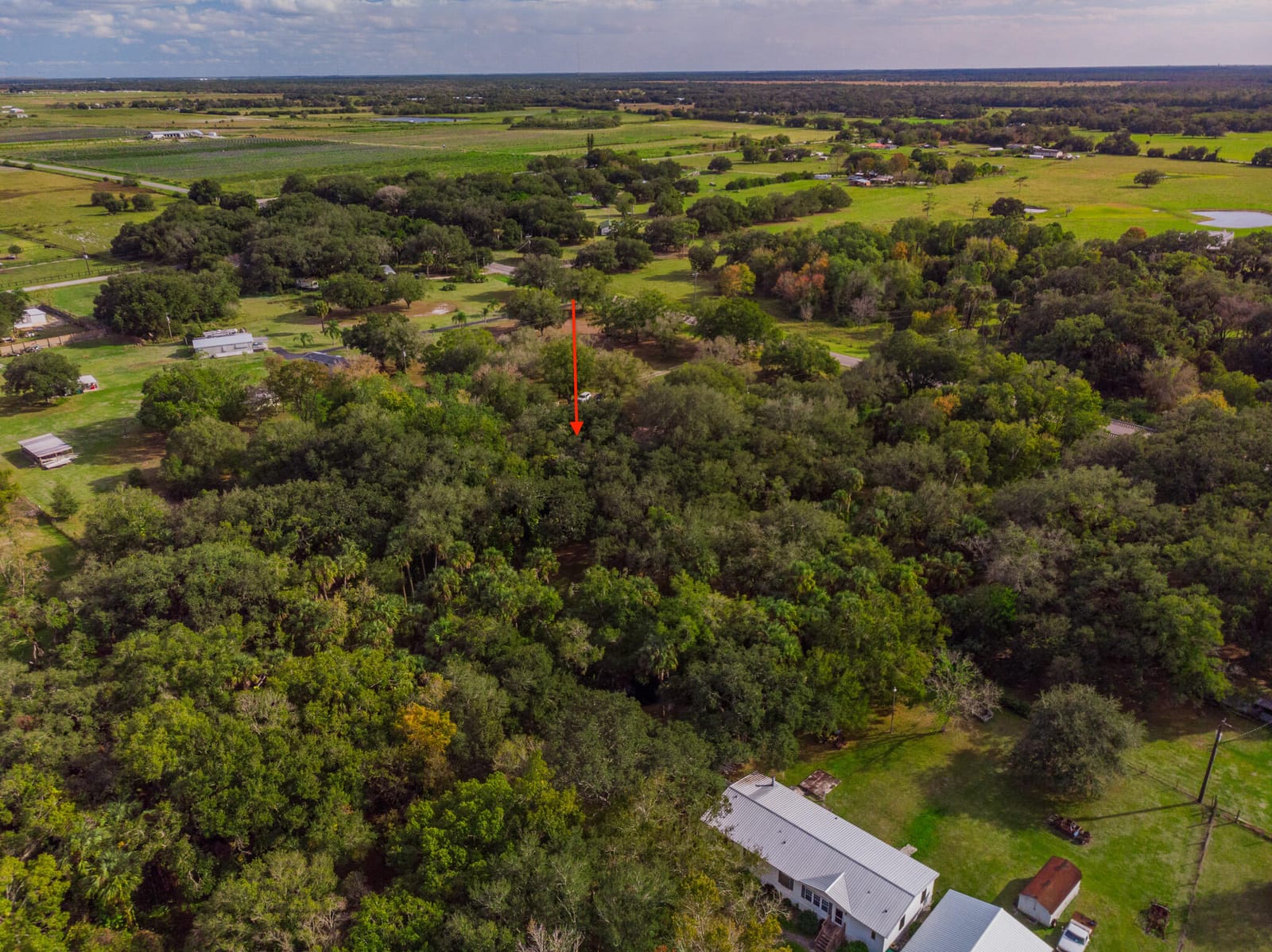 3453 NW 160th Street, Okeechobee, FL 34972 photo 3