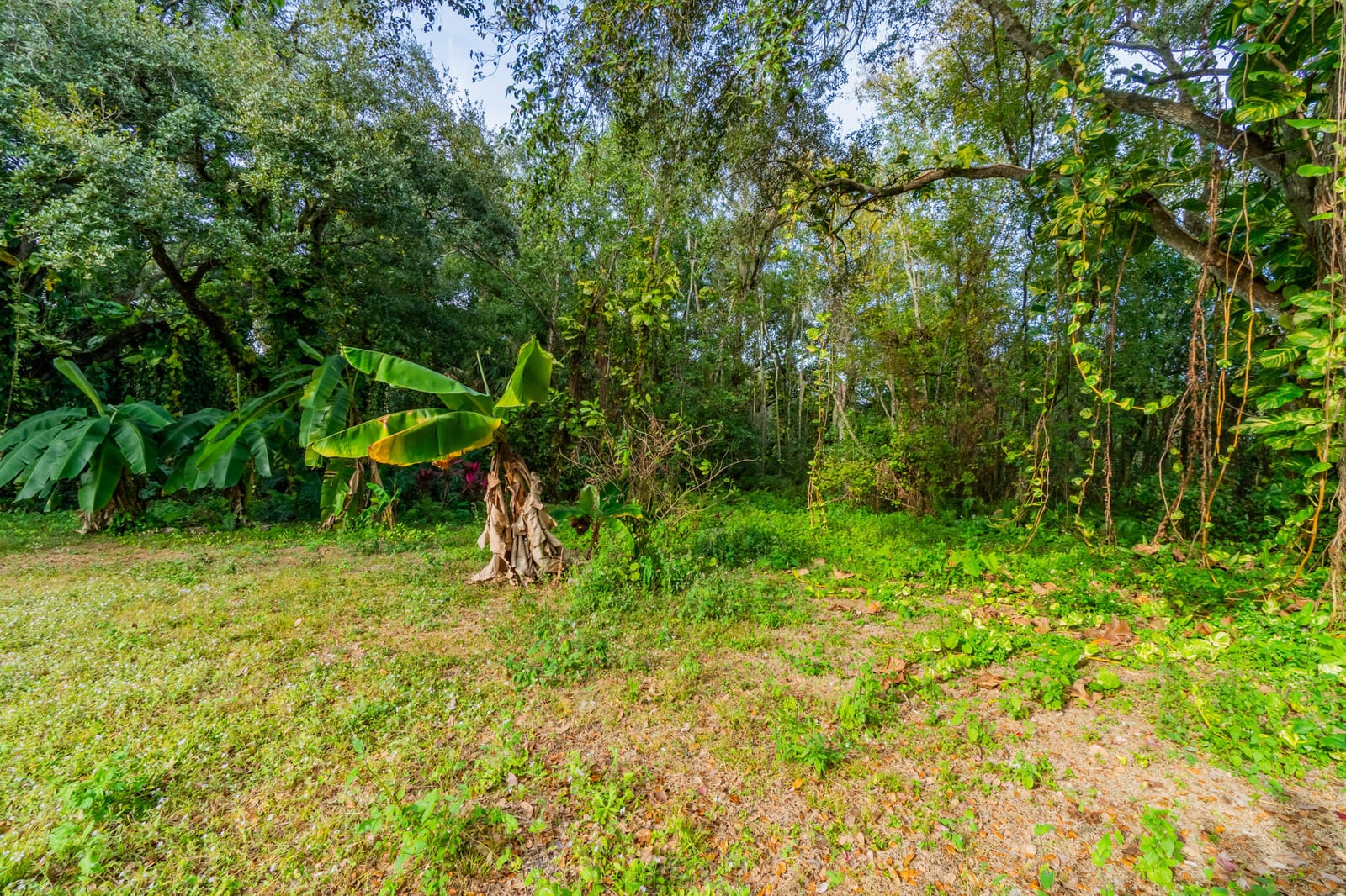 3453 NW 160th Street, Okeechobee, FL 34972 photo 21