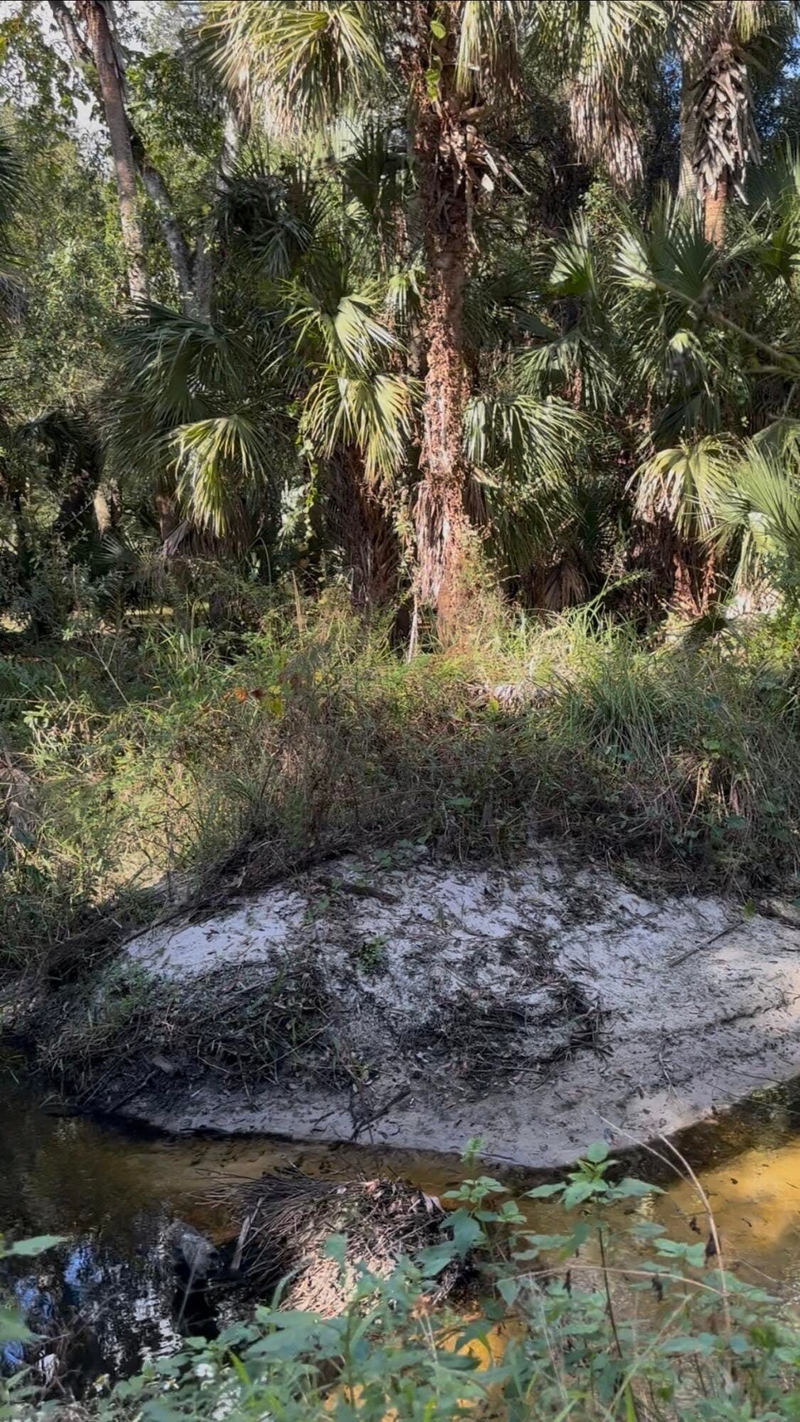 3453 NW 160th Street, Okeechobee, FL 34972 photo 24