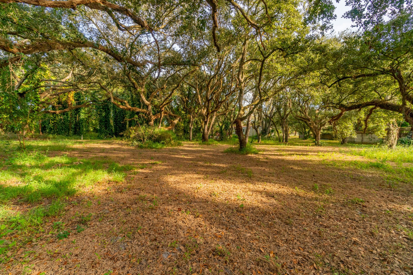 3453 NW 160th Street, Okeechobee, FL 34972 photo 6