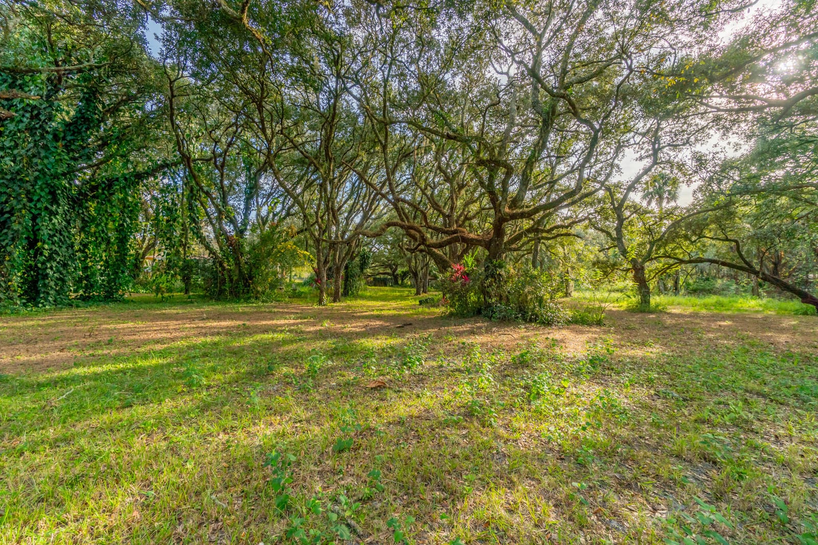 3453 NW 160th Street, Okeechobee, FL 34972 photo 7