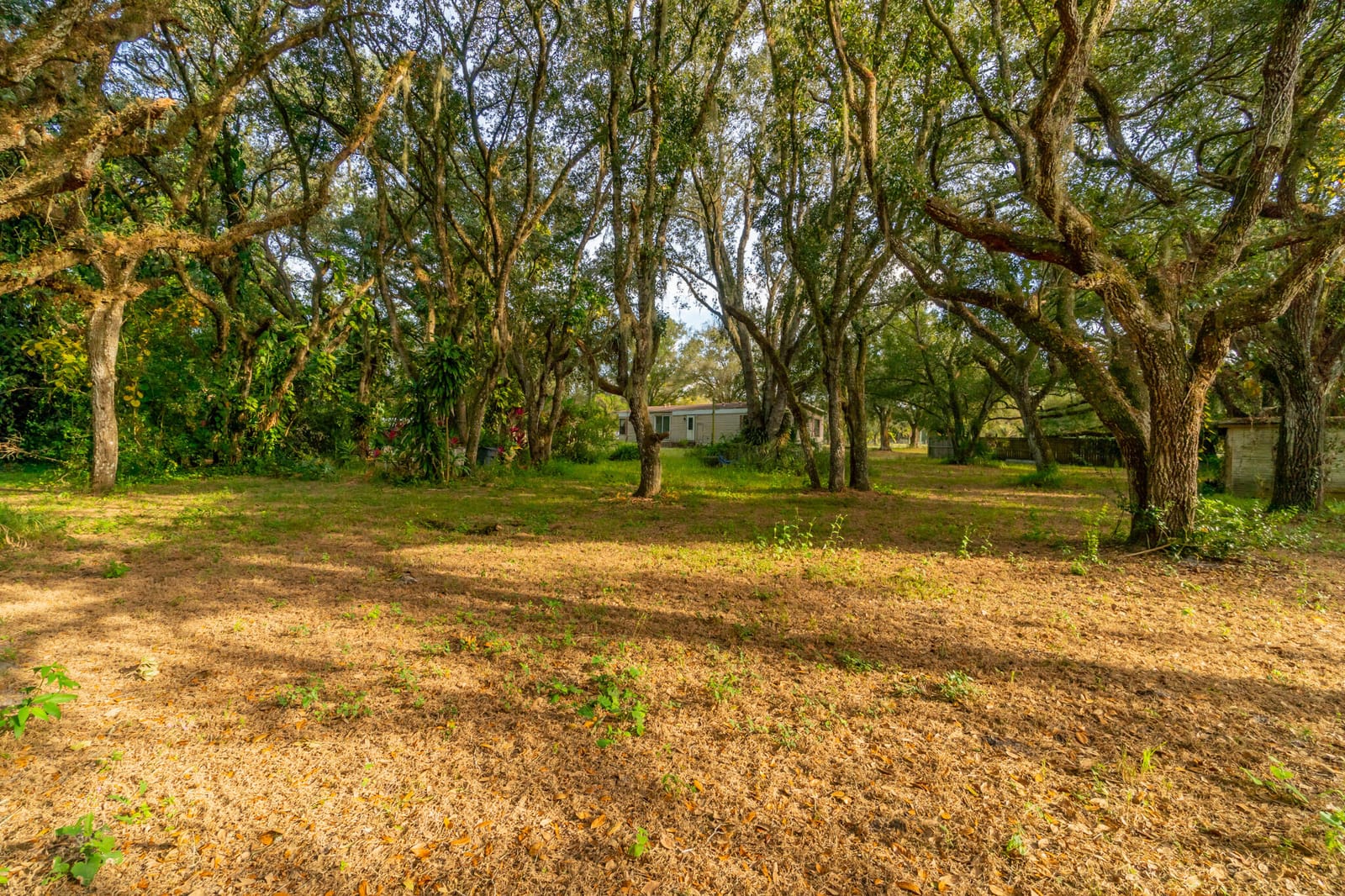 3453 NW 160th Street, Okeechobee, FL 34972 photo 8