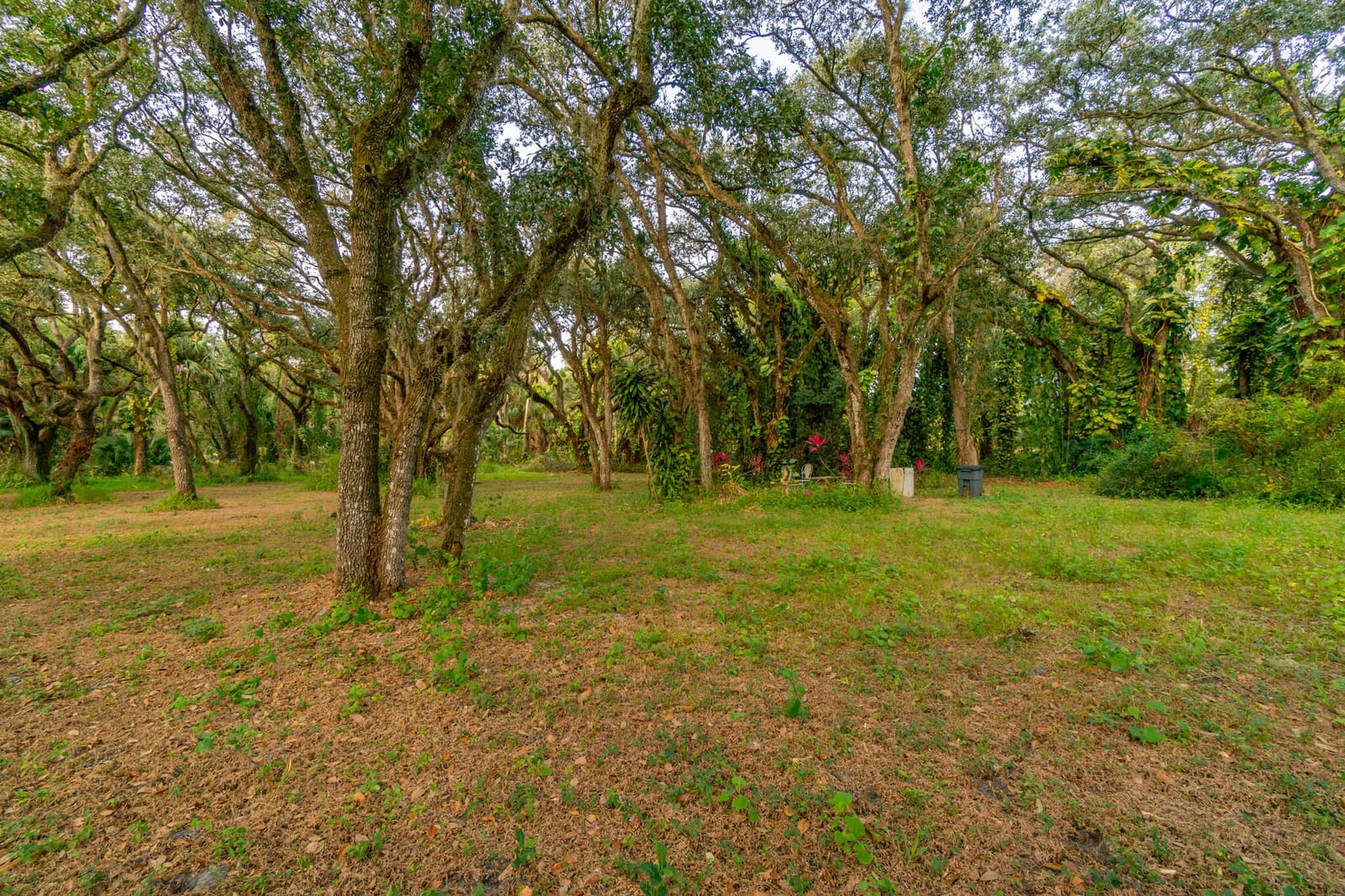 3453 NW 160th Street, Okeechobee, FL 34972 photo 9