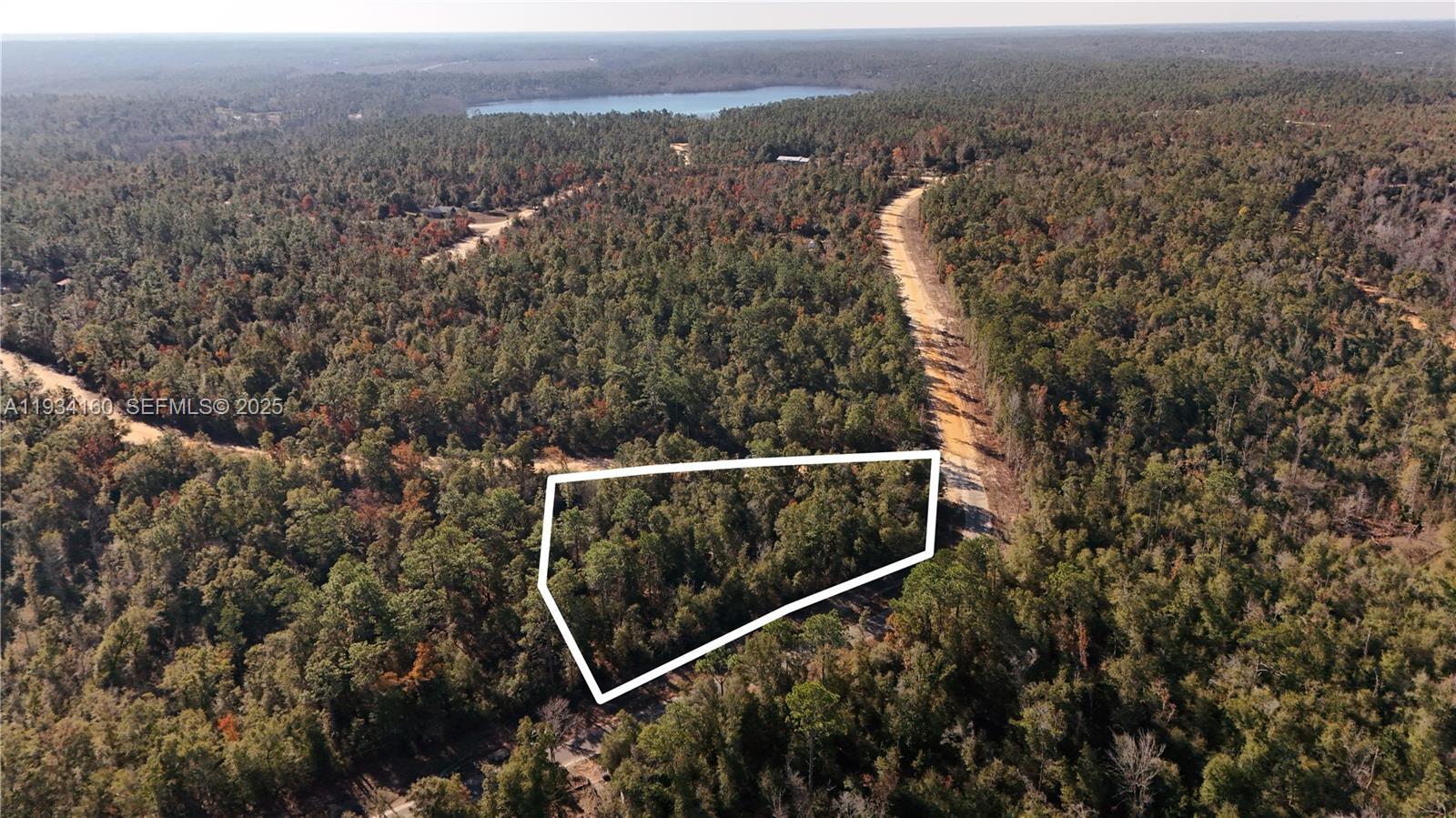 0 Alene Drive, FL 32420, Alford