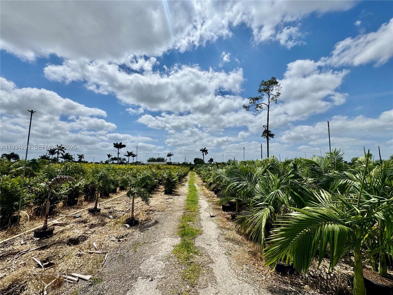 32800 SW 202nd Avenue, Homestead, FL 33034 photo 23
