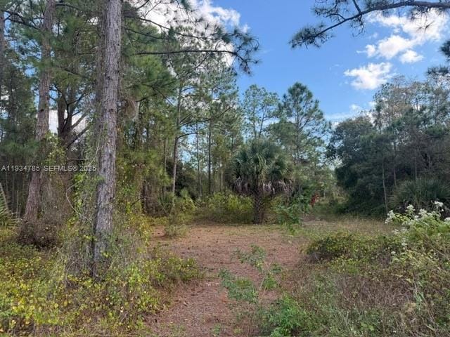 345 N Isora, Clewiston, FL 33440 photo 3