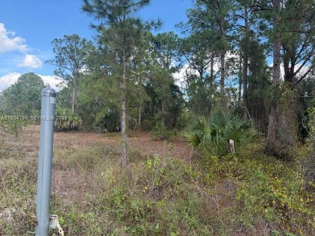 345 N Isora, Clewiston, FL 33440 photo 4
