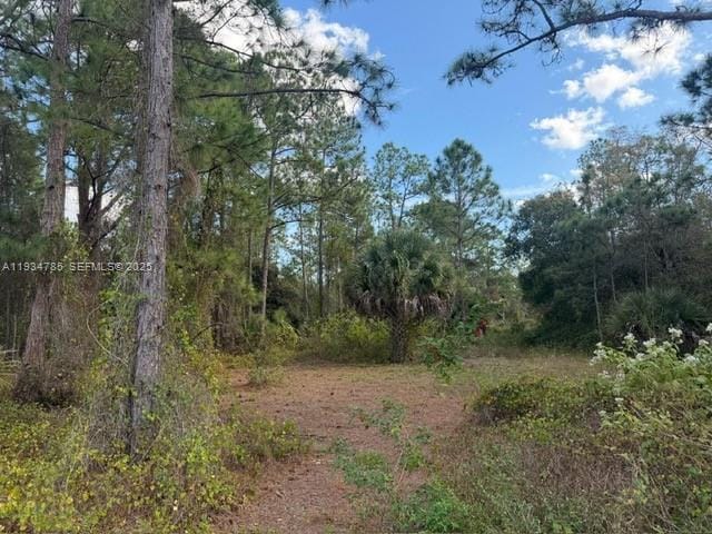 345 N Isora, Clewiston, FL 33440 photo 5