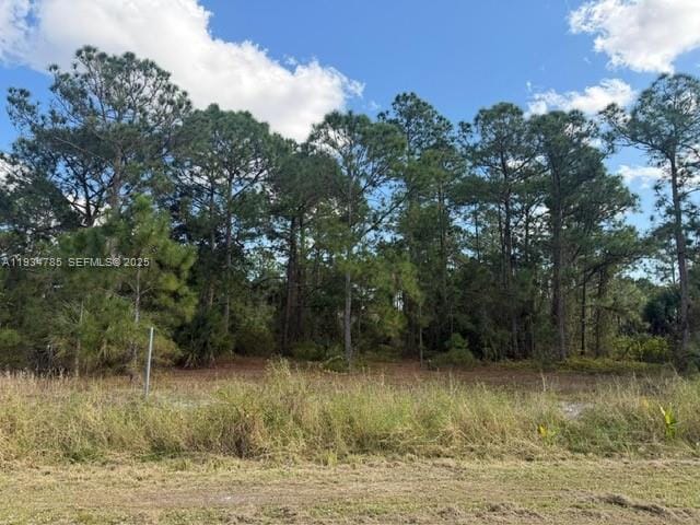345 N Isora, Clewiston, FL 33440 photo 7