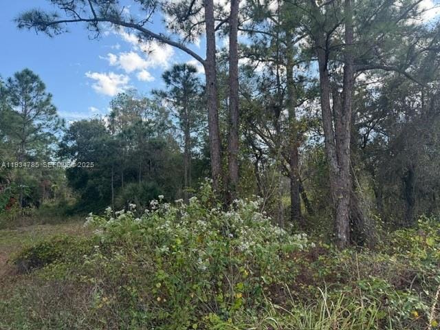 345 N Isora, Clewiston, FL 33440 photo 8
