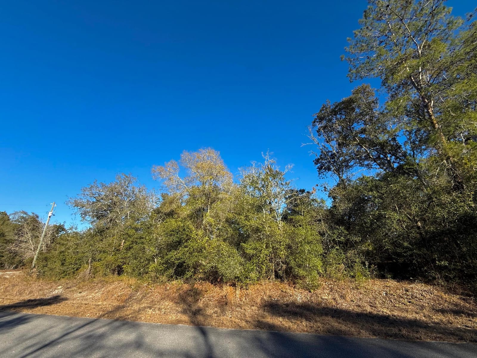 Tbd Lot 35 SW Lobelia Court — photo 2