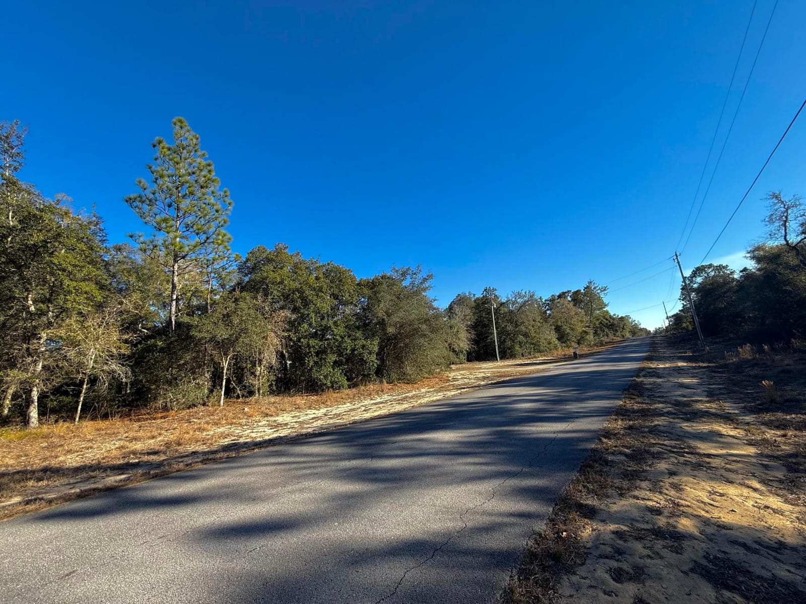 Tbd Lot 35 SW Lobelia Court — photo 3