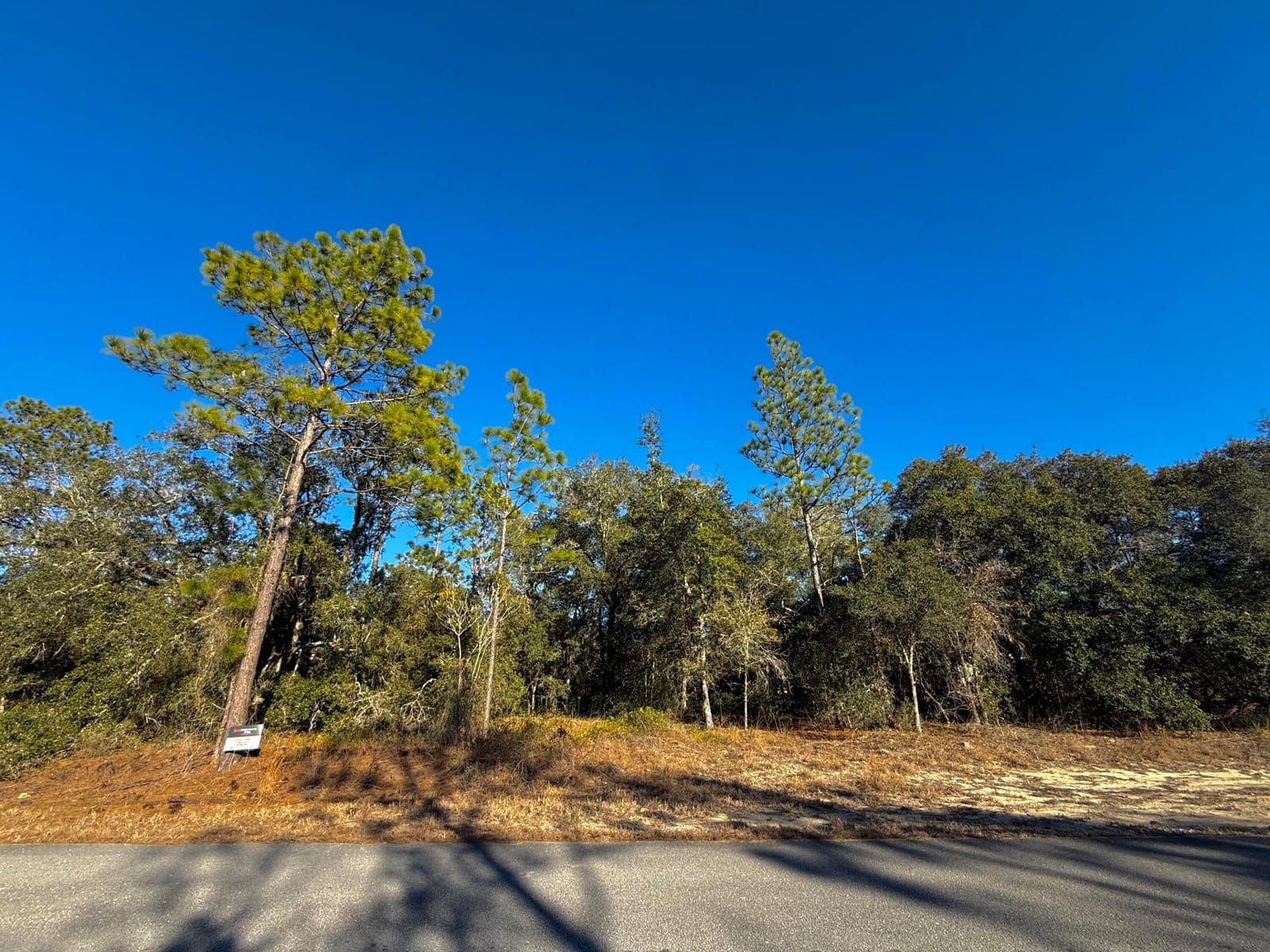 Tbd Lot 35 SW Lobelia Court — photo 4