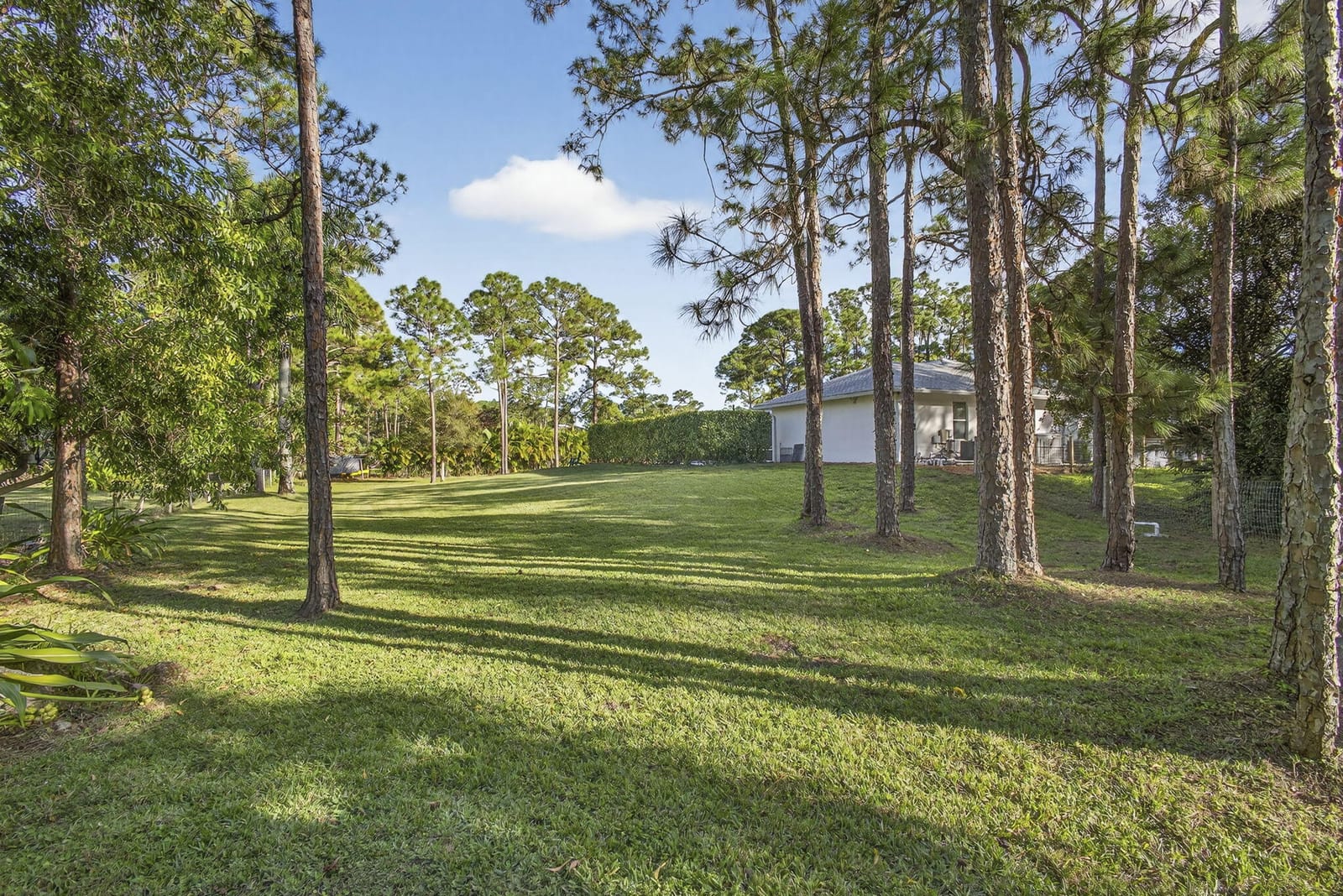 15485 68th Court N, Loxahatchee, FL 33470 photo 25