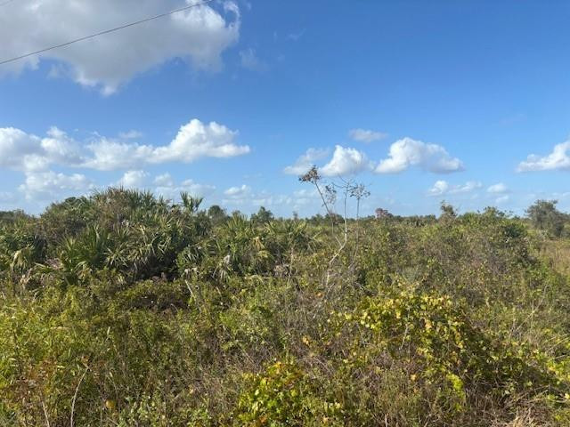 15463 NW 256th Street, Okeechobee, FL 34972, Okeechobee