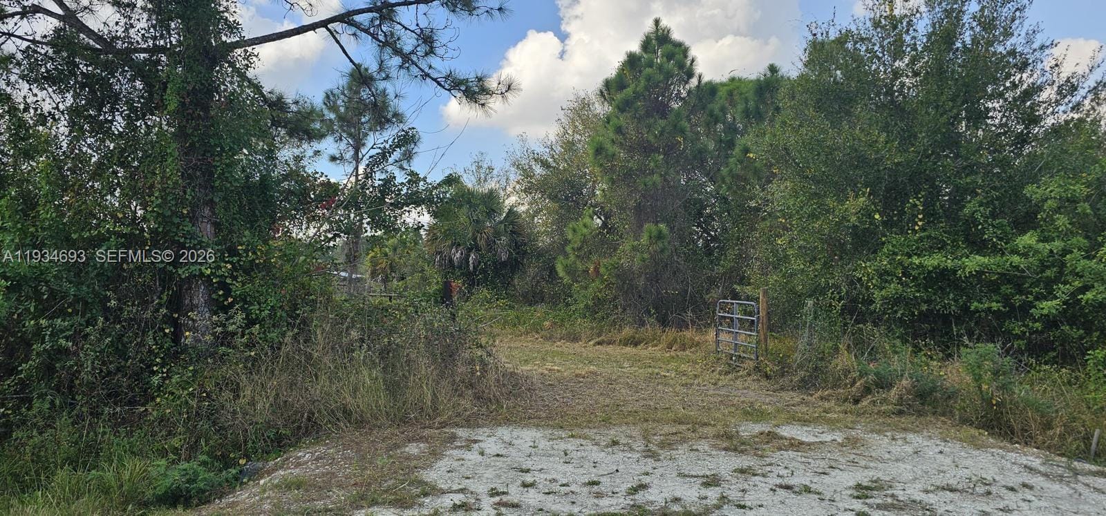 650 N Kennel — photo 2