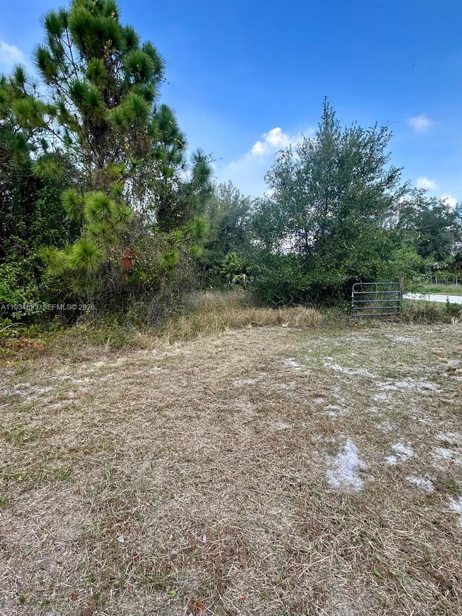 650 N Kennel — photo 6