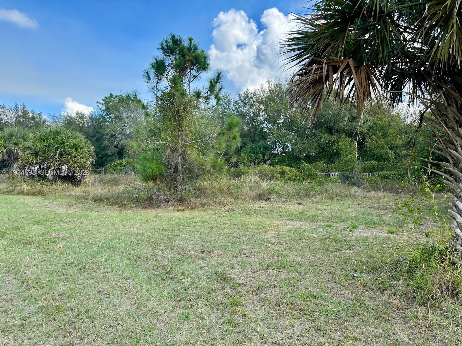 650 N Kennel — photo 10