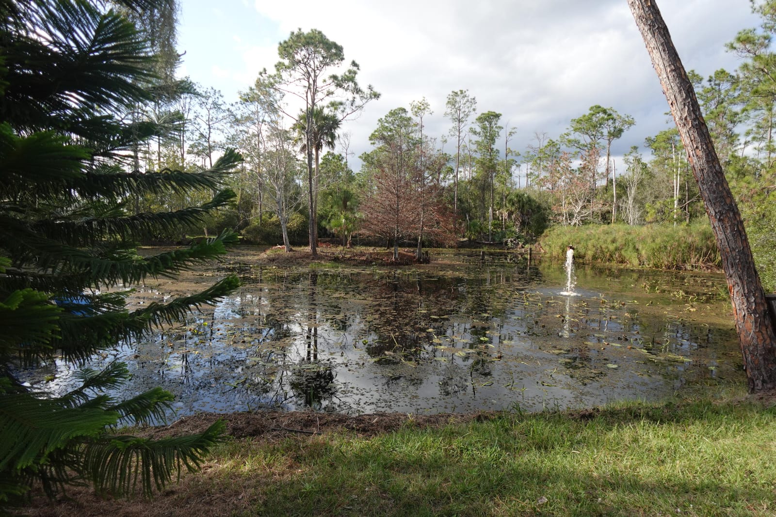 32801 N Us-441 Lot 187, Okeechobee, FL 34972 photo 20