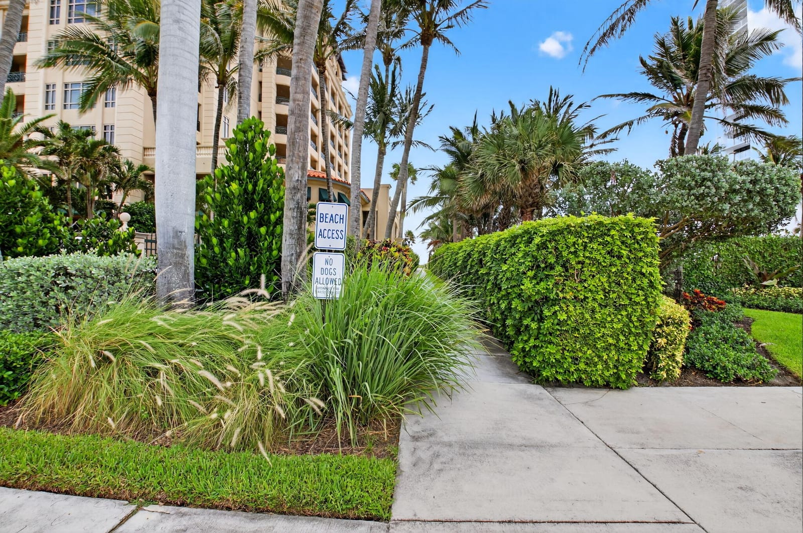 930 Osceola Drive 8 — photo 4