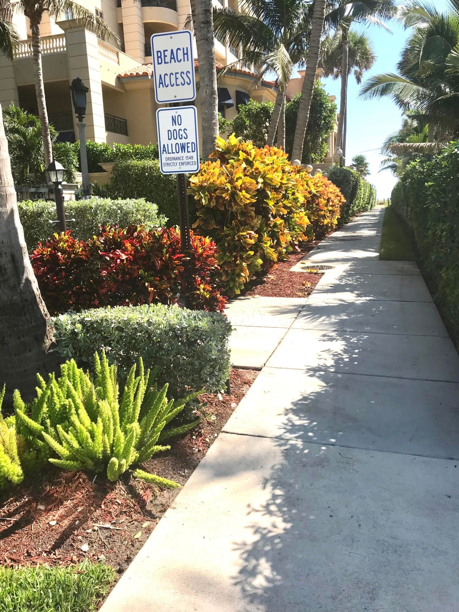 930 Osceola Drive 8 — photo 5