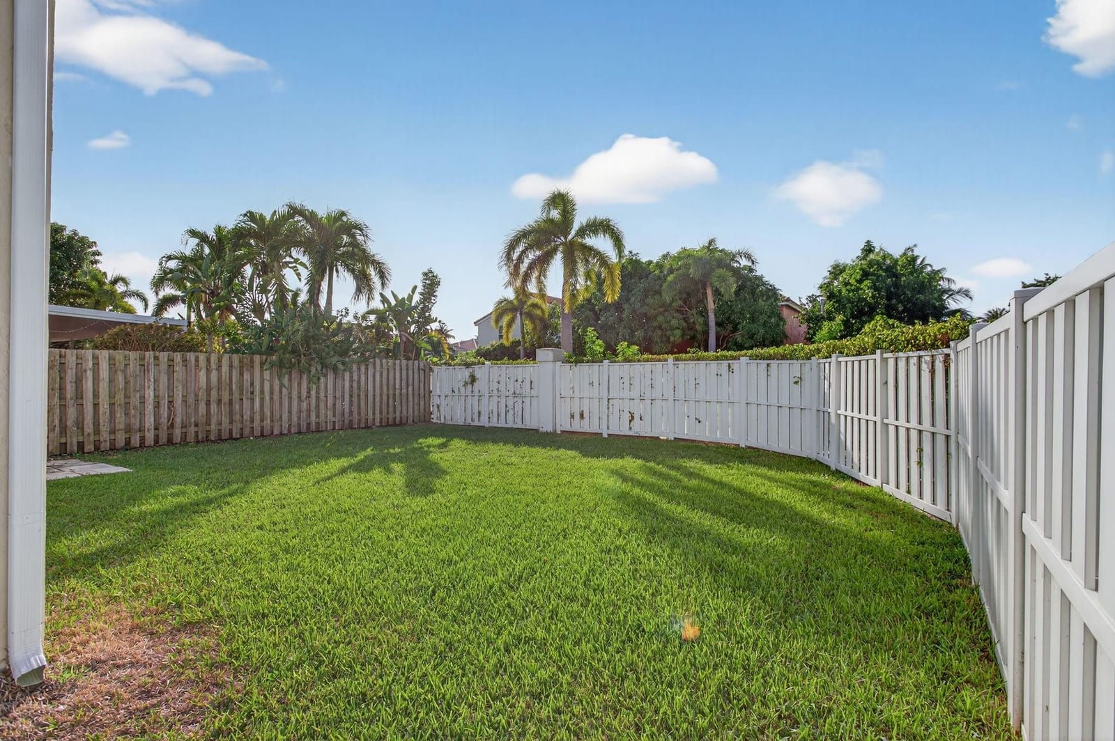 3407 Bonito Lane — photo 4