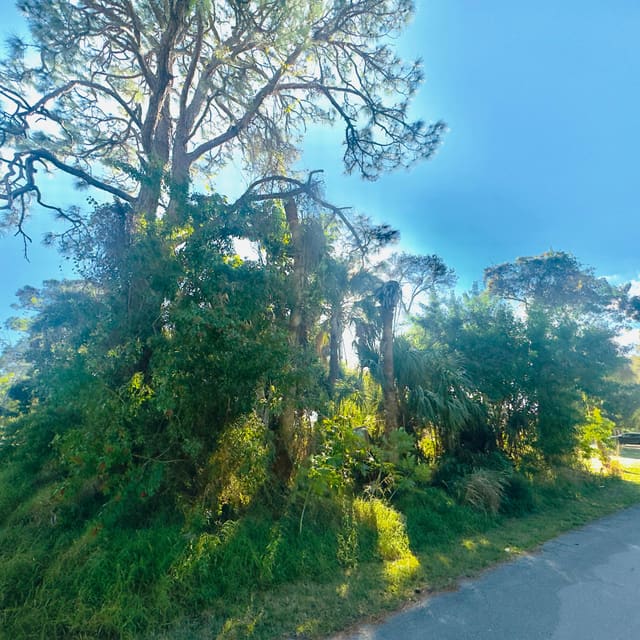 Tbd Avenue Avenue N, Fort Pierce, FL 34947