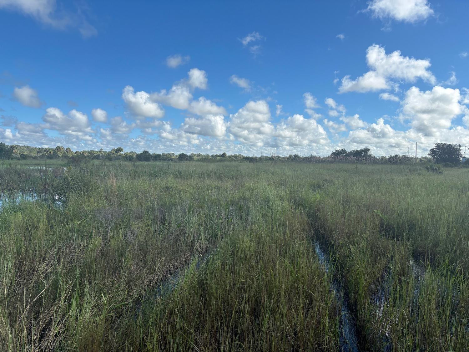 0 NW 306th Street, Okeechobee, FL 34972, Okeechobee