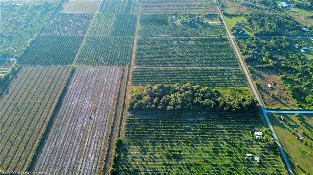1050 Arbuckle Creek Road, Lorida, FL 33857 photo 2