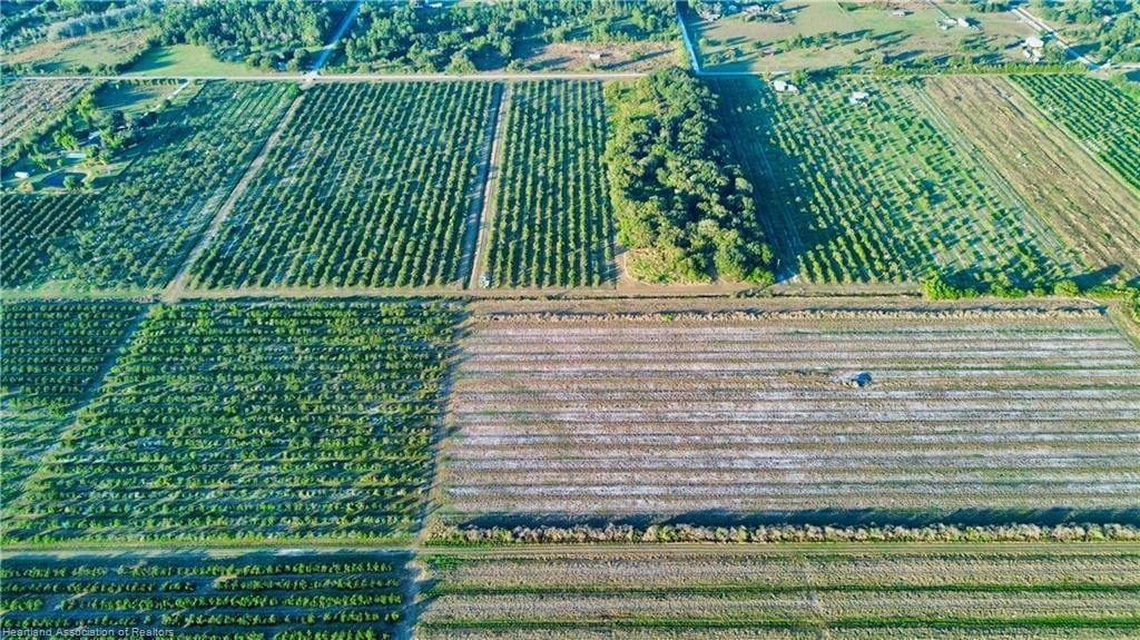 1050 Arbuckle Creek Road, Lorida, FL 33857 photo 6