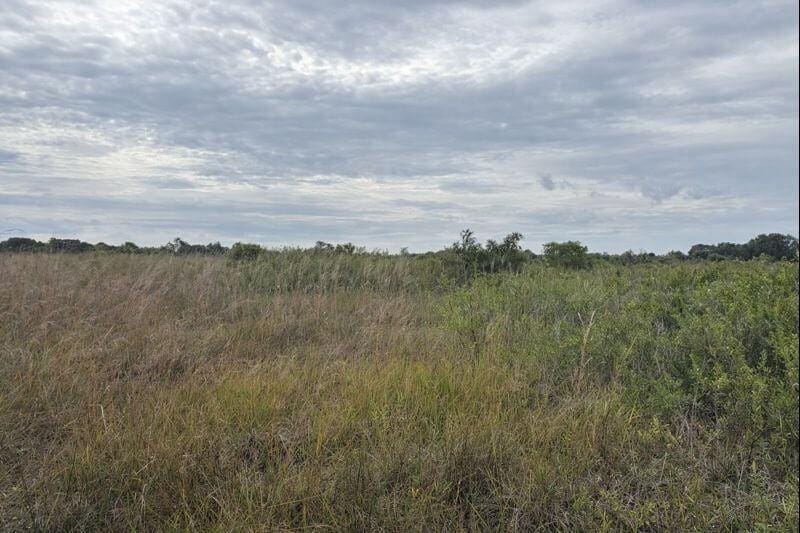 0 NW 318th Street, Okeechobee, FL 34972