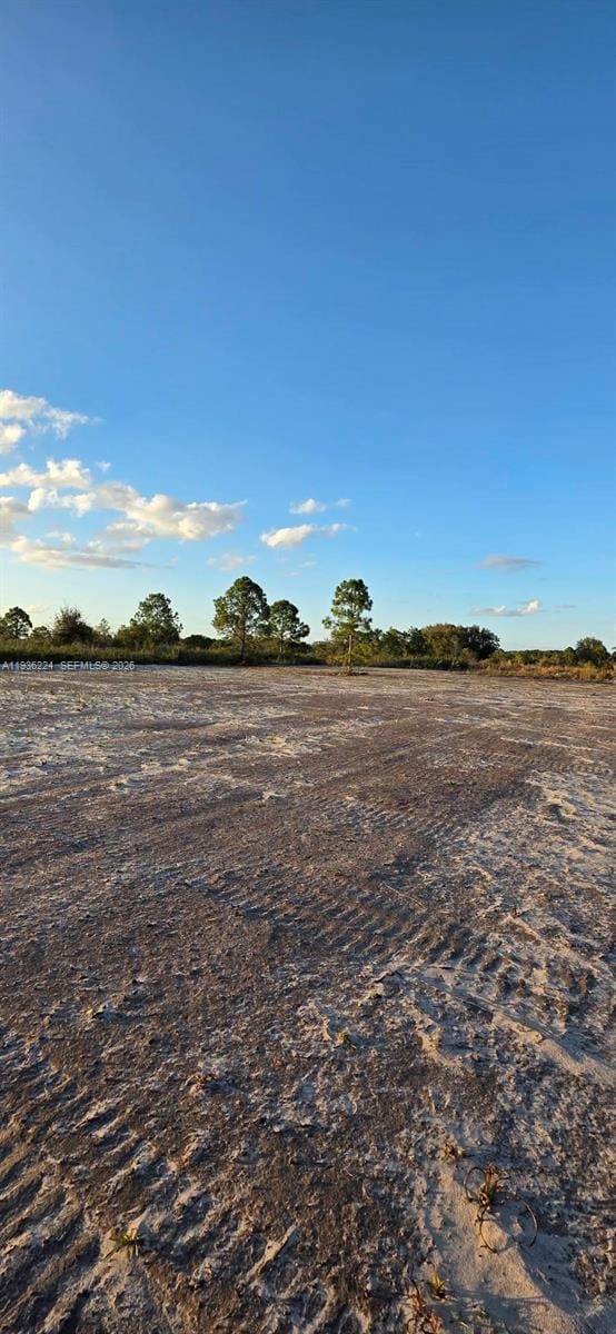 17385 NW 314 Street, Okeechobee, FL 34972 photo 12