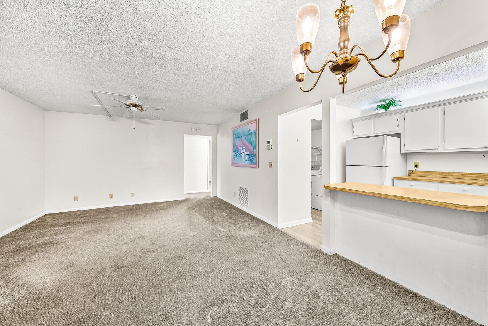 325 Knotty Pine Circle C-1 — photo 7