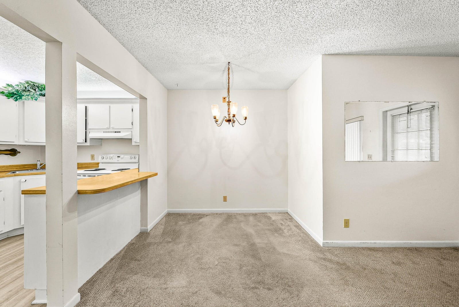 325 Knotty Pine Circle C-1 — photo 8