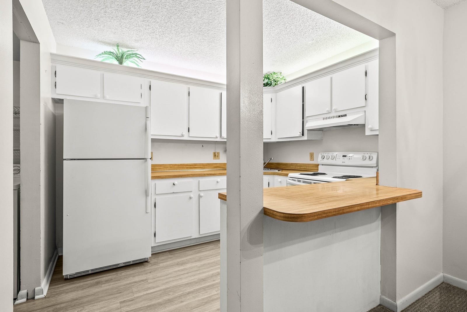 325 Knotty Pine Circle C-1 — photo 9