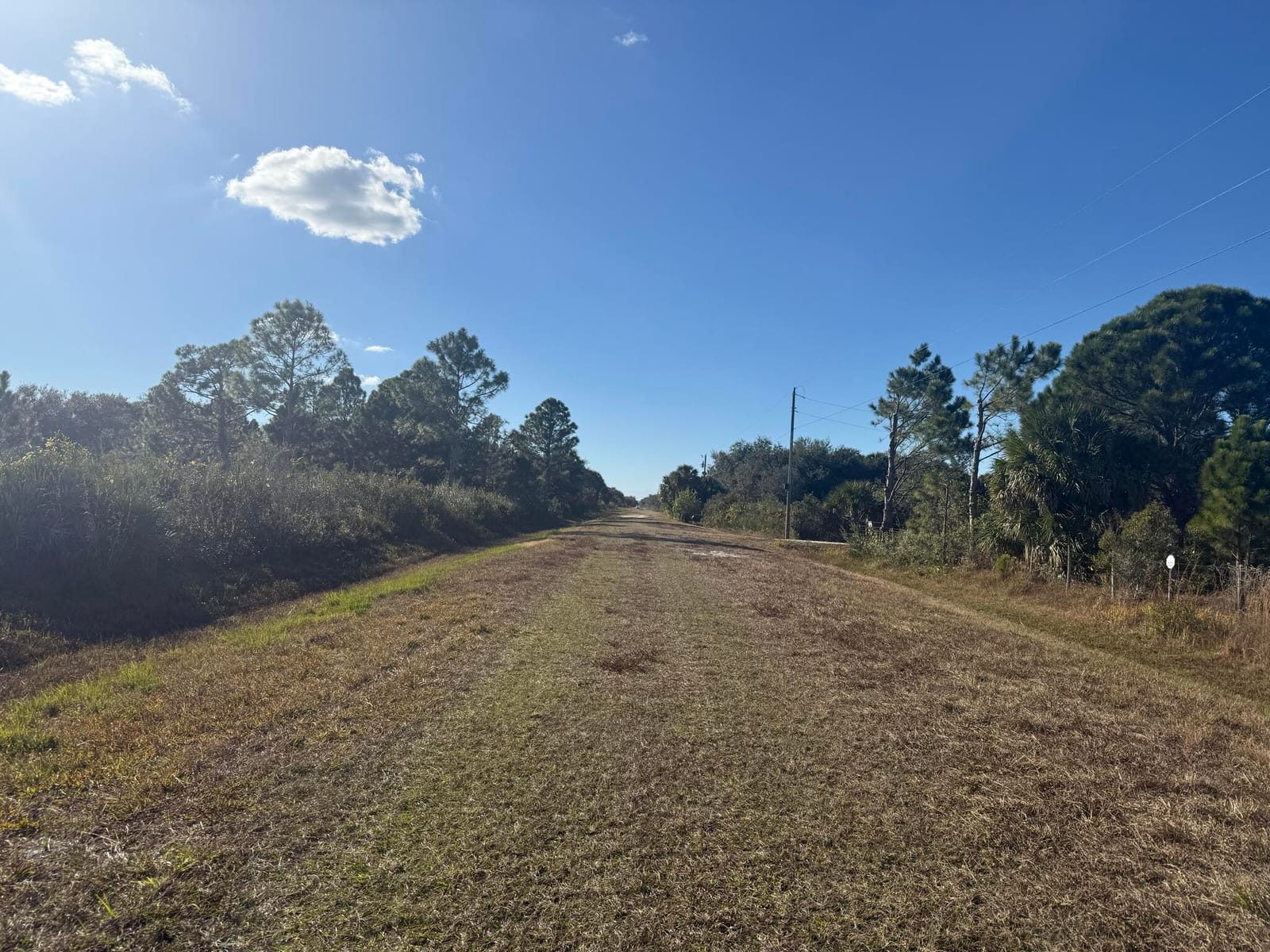 15729 NW 278th Street, Okeechobee, FL 34972 photo 11