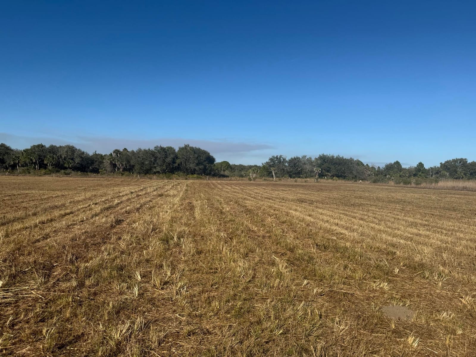 15729 NW 278th Street, Okeechobee, FL 34972 photo 14