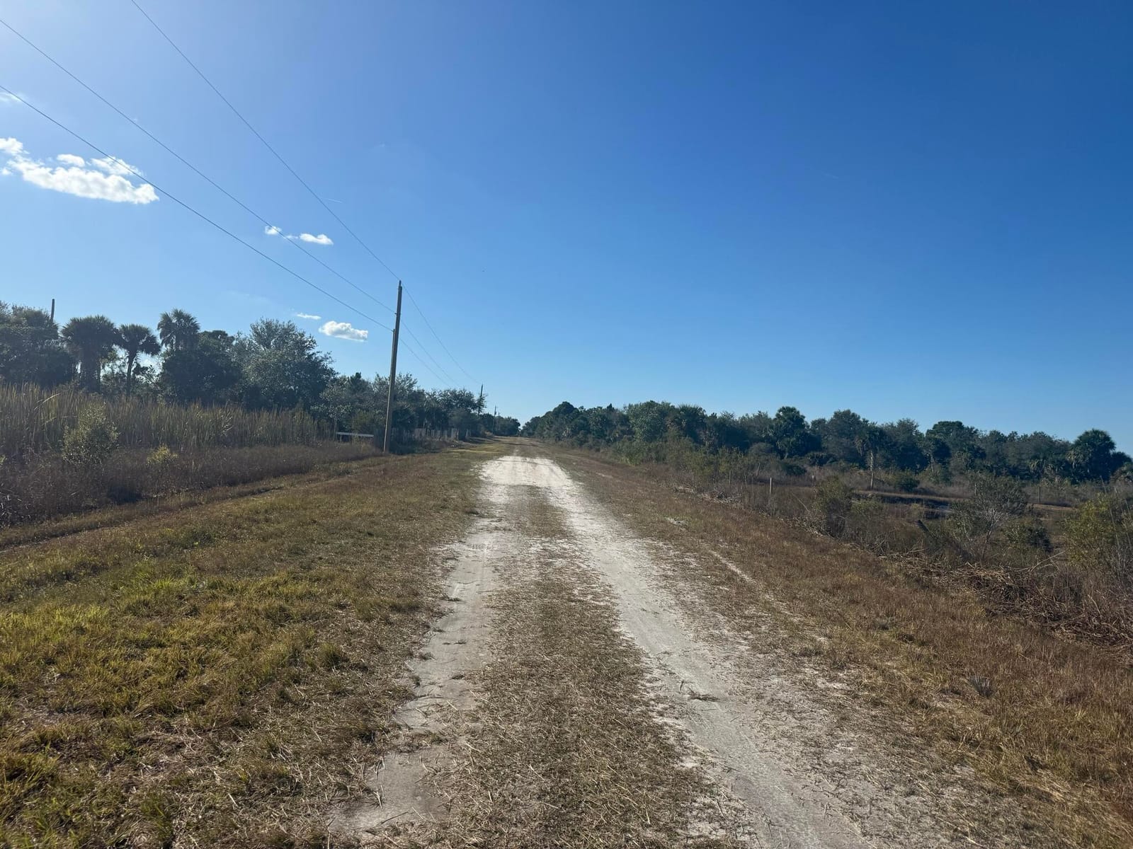 15729 NW 278th Street, Okeechobee, FL 34972 photo 15