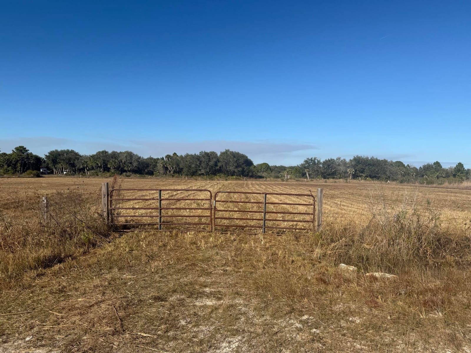15729 NW 278th Street, Okeechobee, FL 34972 photo 16