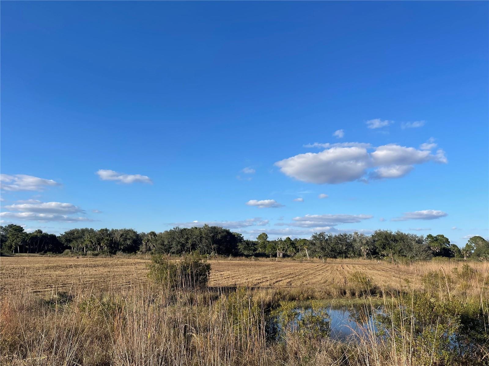 15729 NW 278th Street, Okeechobee, FL 34972 photo 4
