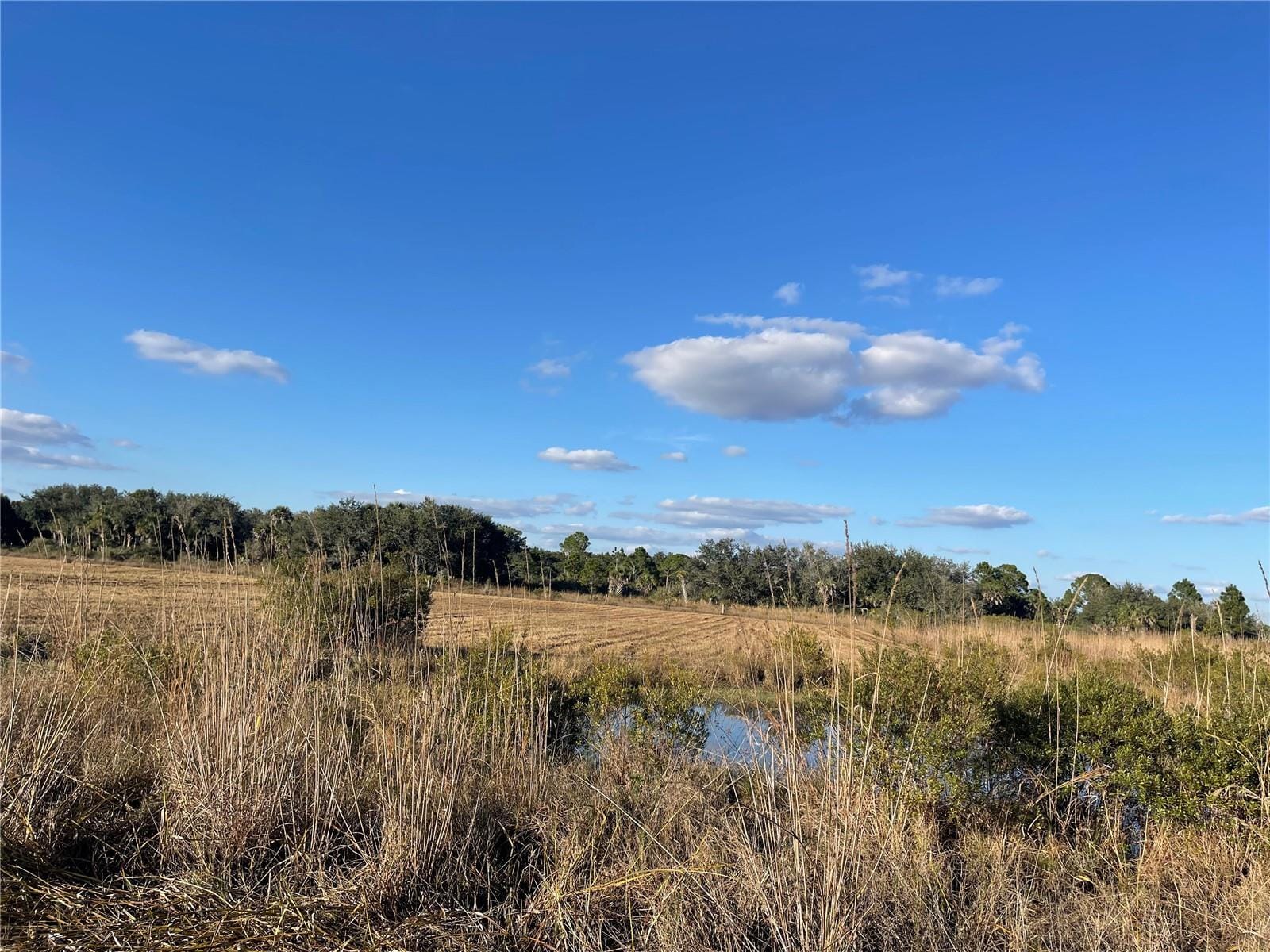 15729 NW 278th Street, Okeechobee, FL 34972 photo 5