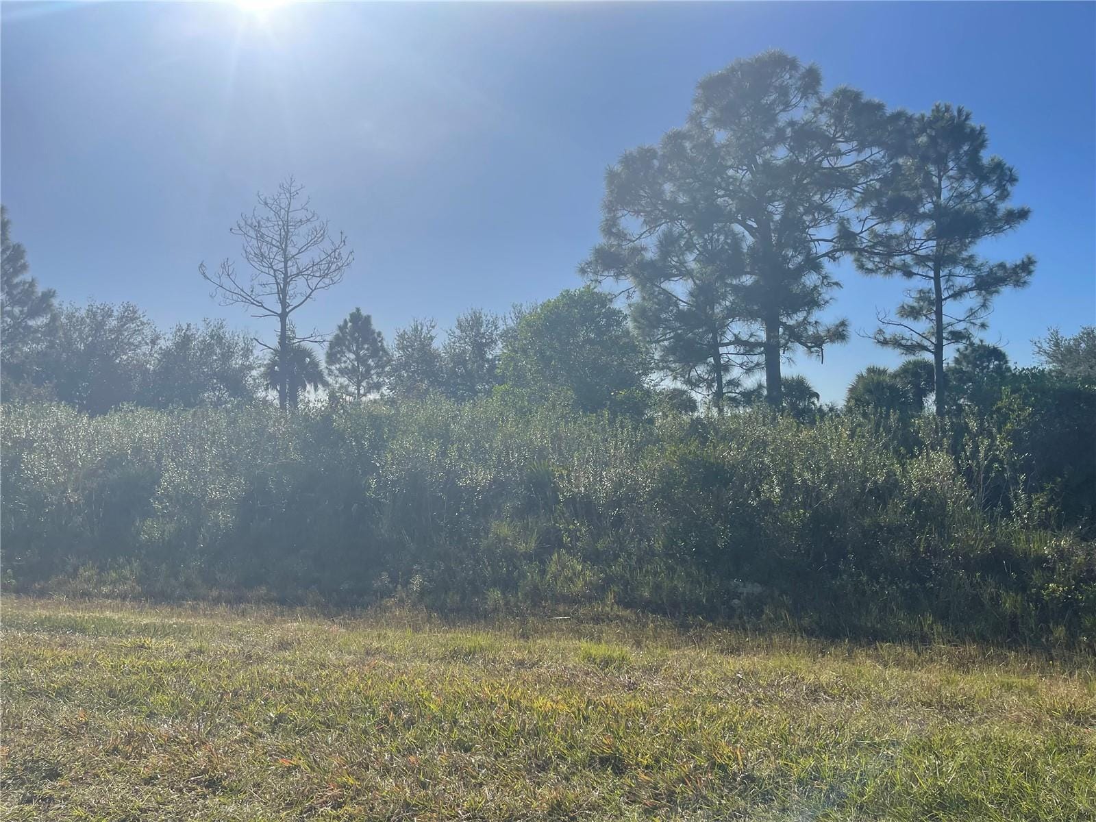 15729 NW 278th Street, Okeechobee, FL 34972 photo 6