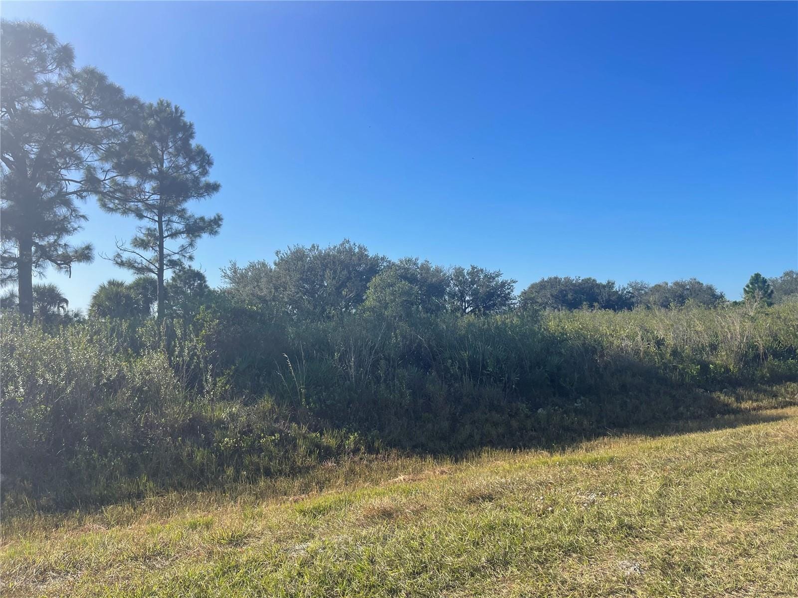 15729 NW 278th Street, Okeechobee, FL 34972 photo 8