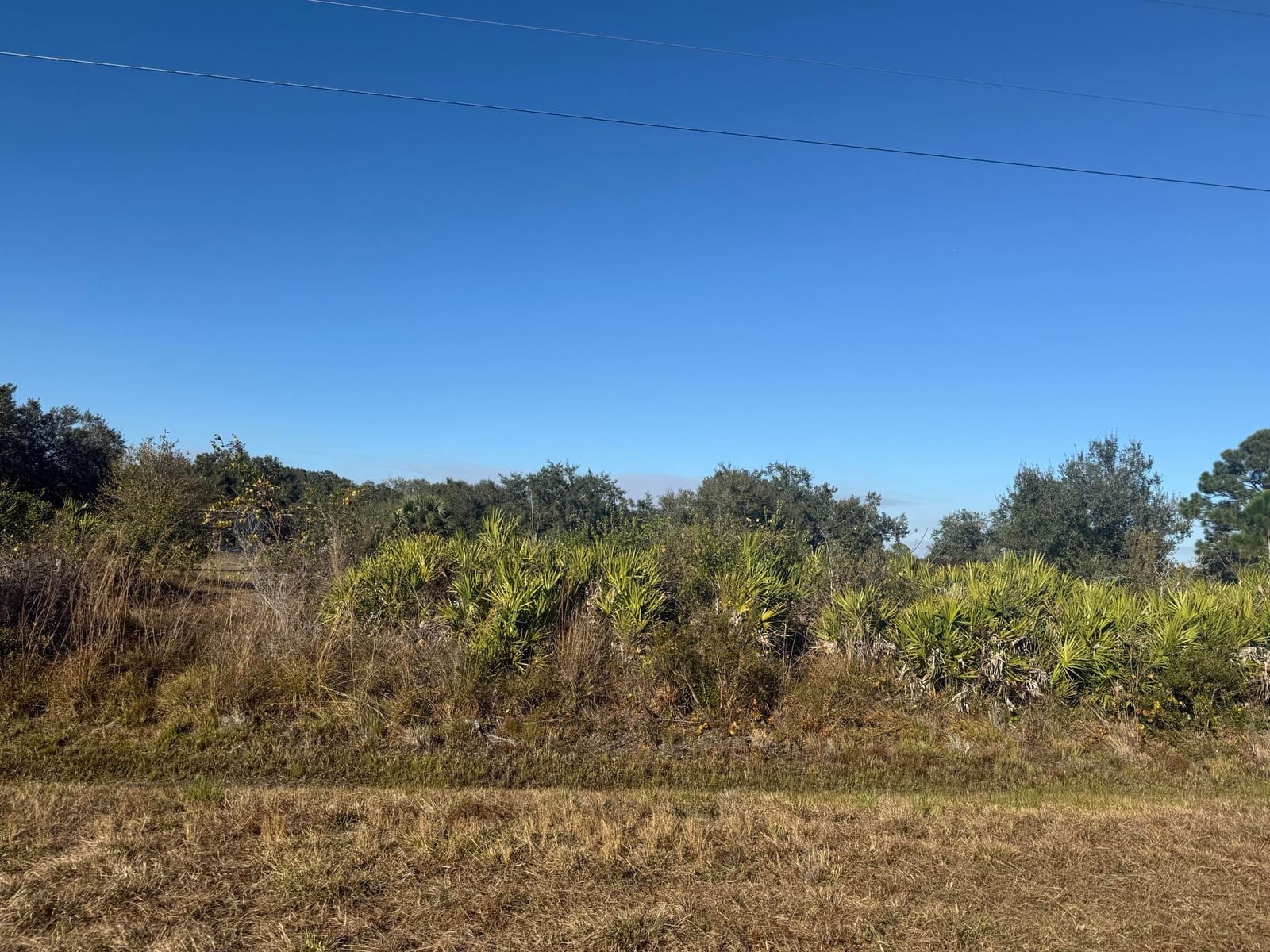 15729 NW 278th Street, Okeechobee, FL 34972 photo 9