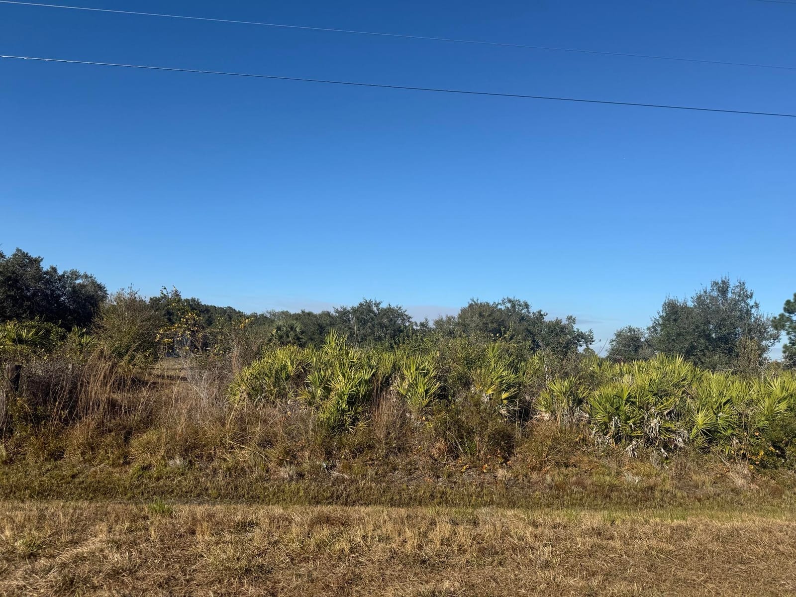 15729 NW 278th Street, Okeechobee, FL 34972 photo 10
