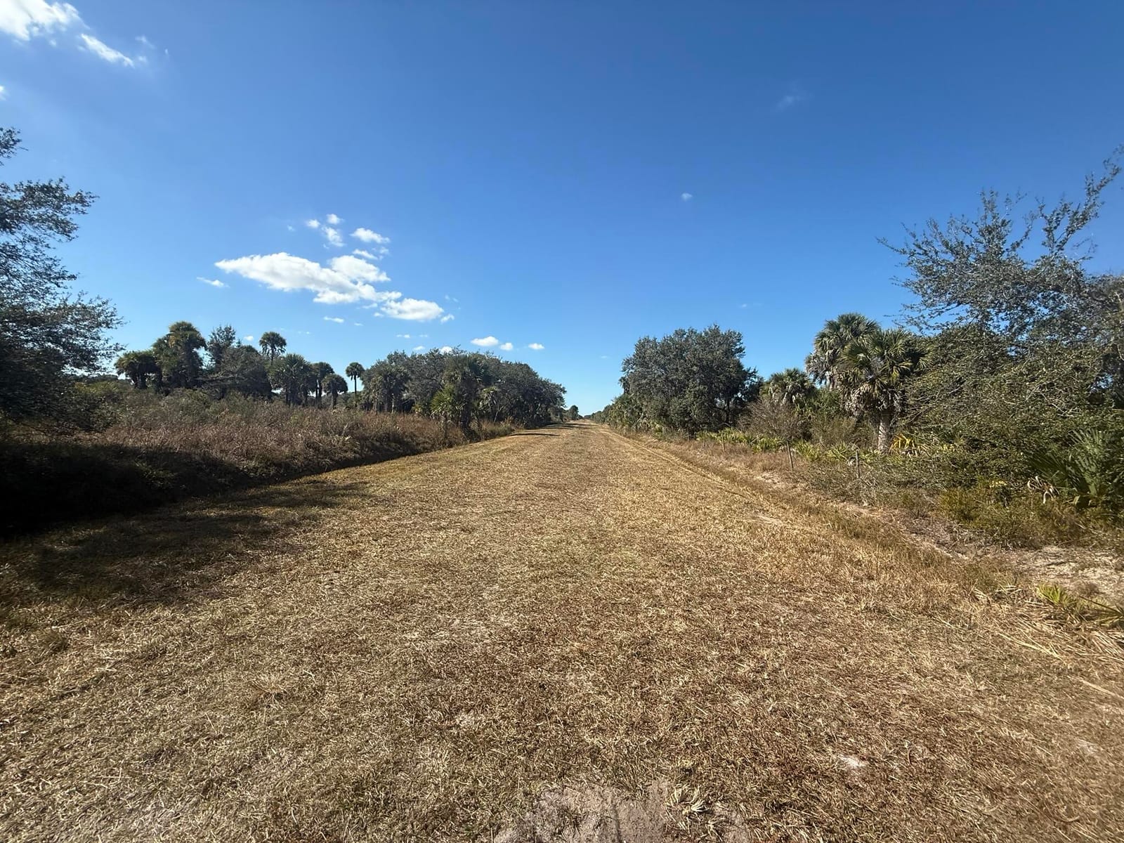 17065 NW 306th Street, Okeechobee, FL 34972 photo 11