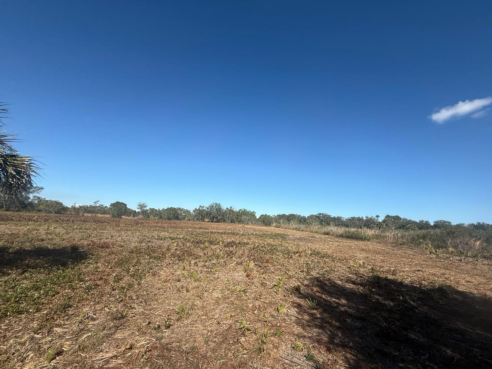 17065 NW 306th Street, Okeechobee, FL 34972 photo 6